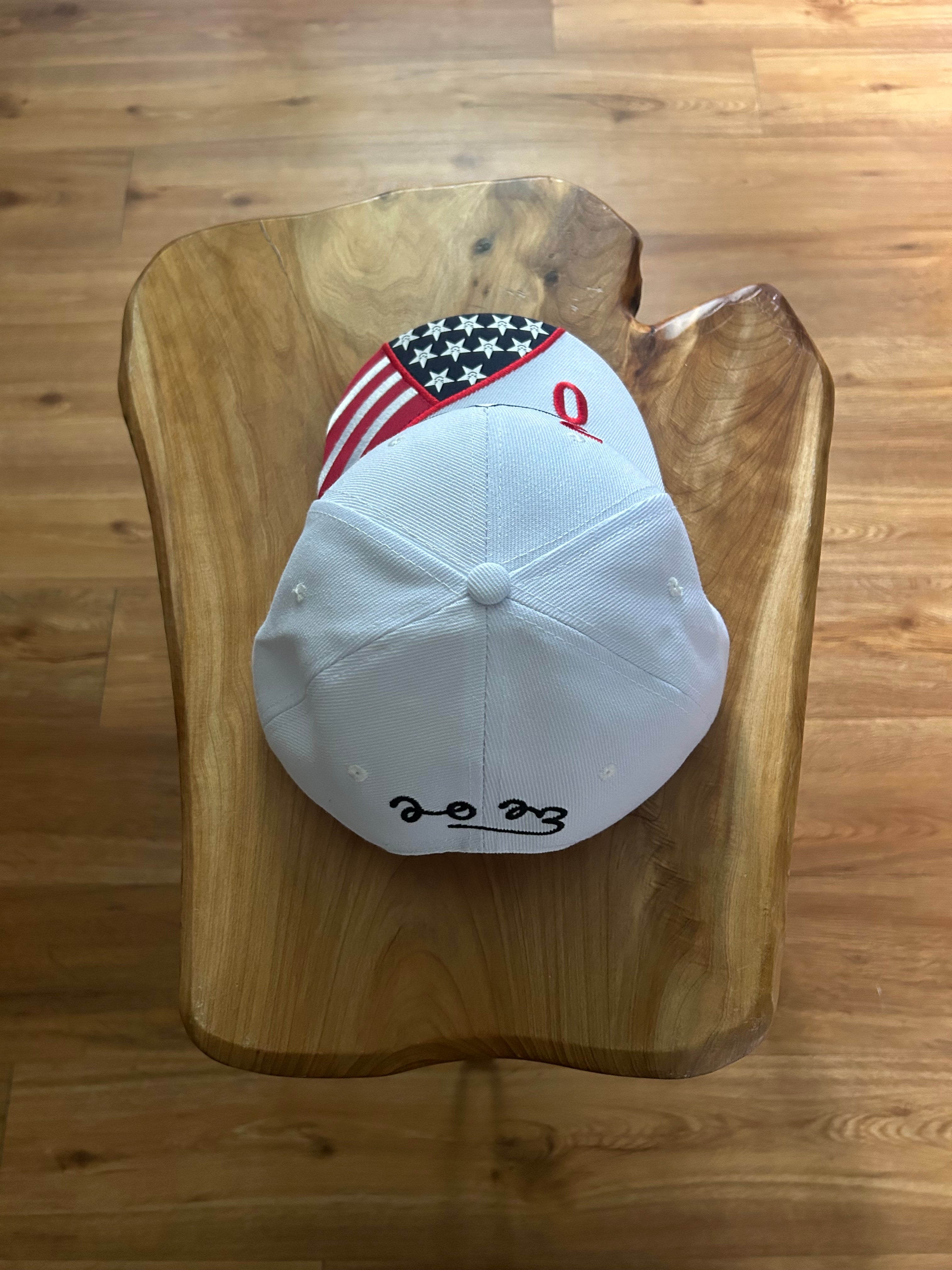Asspizza x 730 USA SnapBack